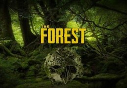 《The Forest》生存游戏——值得一提的地方有哪些？